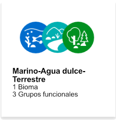 Marino-Aguadulce-Terrestre