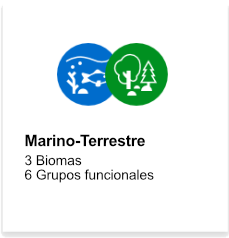 Marino-Terrestre