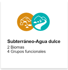 Subterraneo-Aguadulce