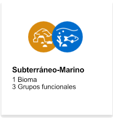 Subterraneo-Marino