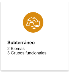 Subterraneo