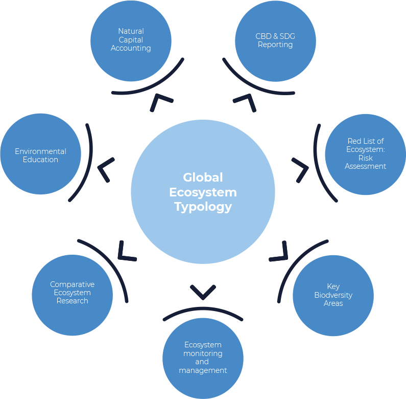 Global Ecosystem Typology