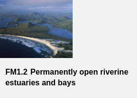 Permanently Open Riverine