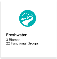 Freshwater