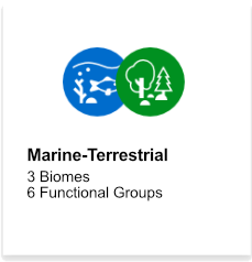 Marine-Terrestrial